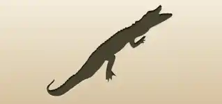 Crocodile silhouette