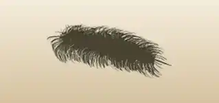 Feather silhouette