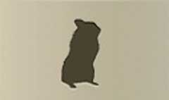 Hamster silhouette