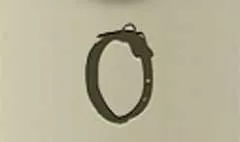 首輪のシルエット