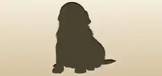 Dog silhouette