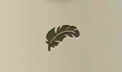 鳥の羽