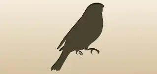 Bullfinch silhouette