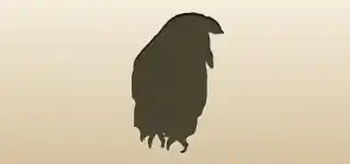 Owl silhouette