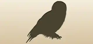 Owl silhouette