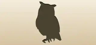 Owl silhouette