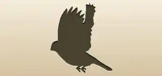 Bullfinch silhouette
