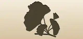 Ginkgo Leaves