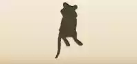 ネズミ