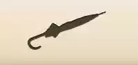 かさ