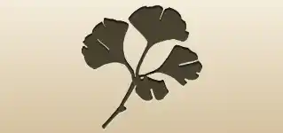 Ginkgo Leaves