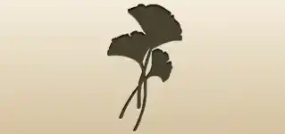 Ginkgo Leaves
