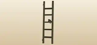 Ladder