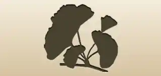 Ginkgo Leaves