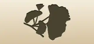 Ginkgo Leaves