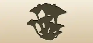 Mushrooms