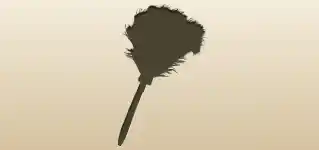 Feather Duster