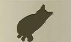 ネコ