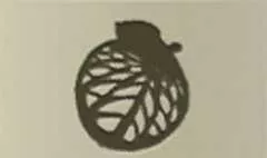 リンゴ