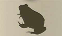 Frog silhouette #1