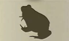 カエル