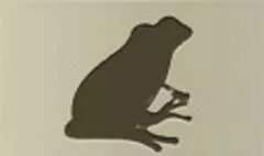 カエル