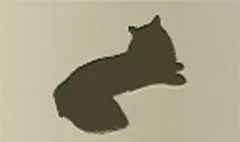 ネコ