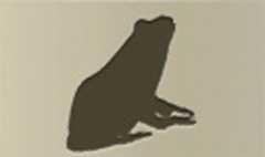 Frog silhouette #3