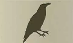 カラス