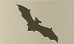 Bat silhouette #3