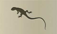 Lizard silhouette #2