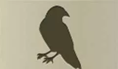 カラス
