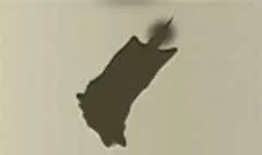 ろうそく
