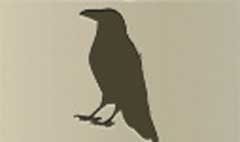 Crow silhouette #5