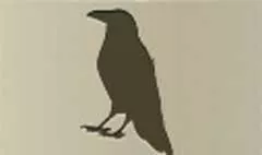 カラス