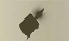ろうそく