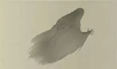 幽霊
