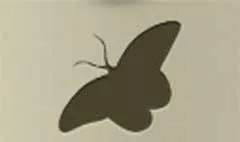 ちょうちょう