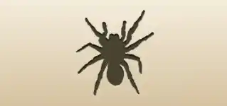 Spider silhouette