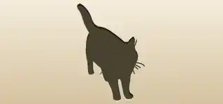 Cat silhouette