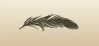 Feather silhouette