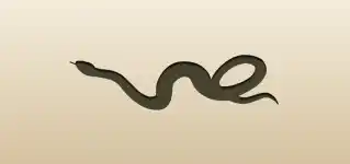 Snake silhouette