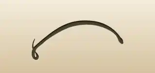 Snake silhouette