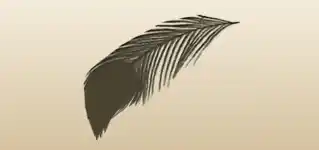 Feather silhouette