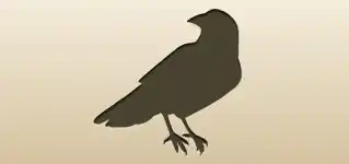 Crow silhouette