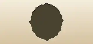 Brooch silhouette