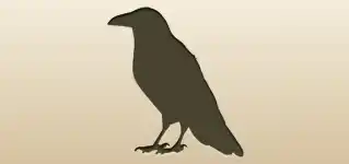 Crow silhouette