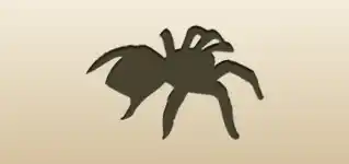Spider silhouette