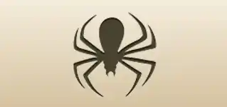 Spider silhouette