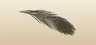 Feather silhouette